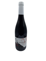 IGP du val de Loire cabernet franc 2023 domaine de la Bregeonnette